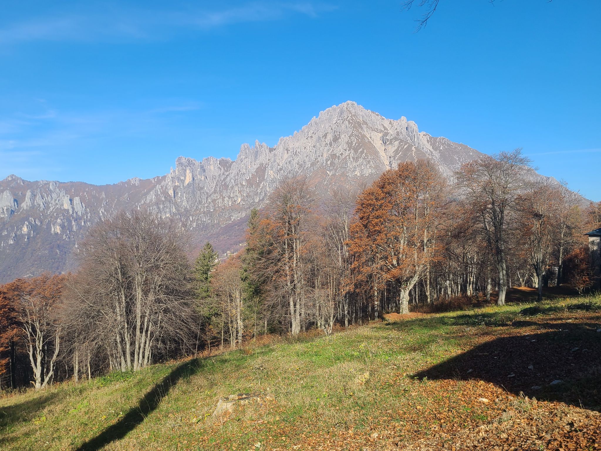 2024 11 03 11.57.17 samsung s20