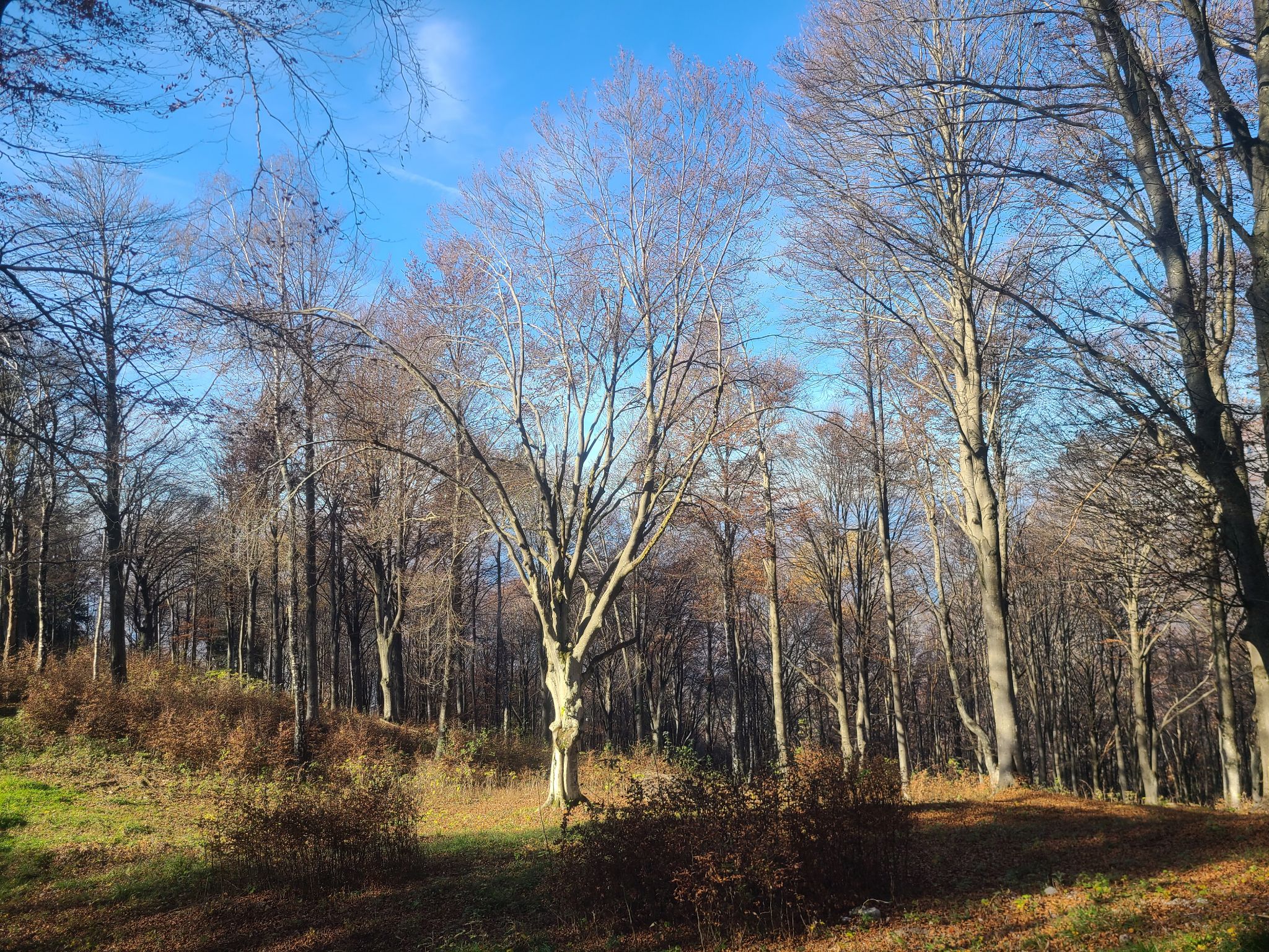 2024 11 03 12.01.41 samsung s20