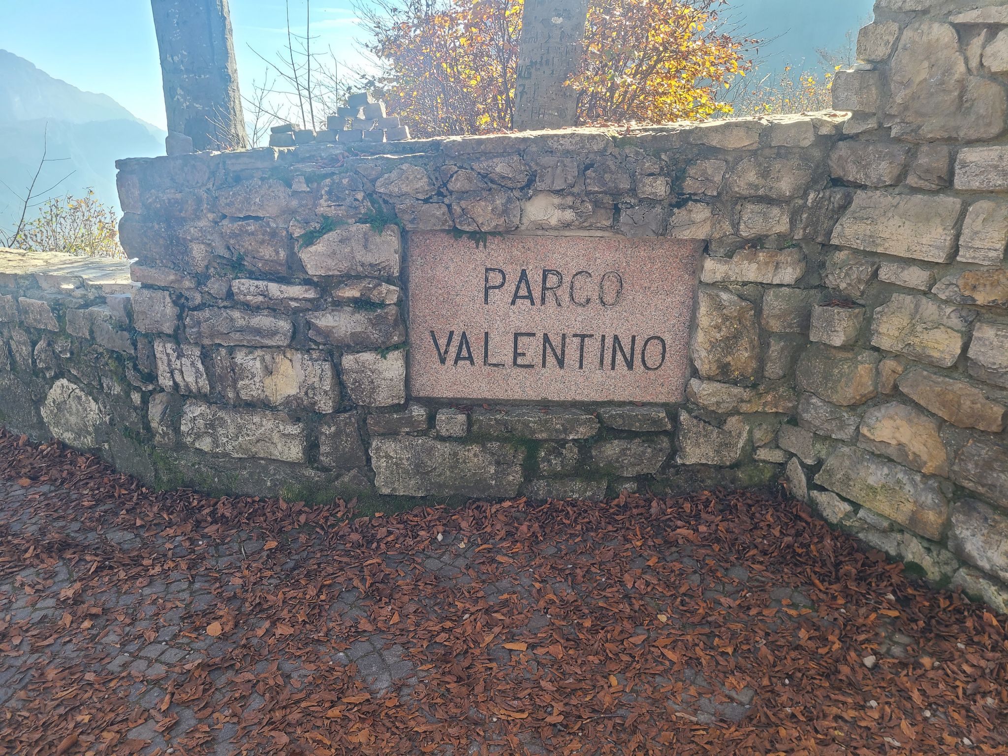 2024 11 03 12.05.53 samsung s20