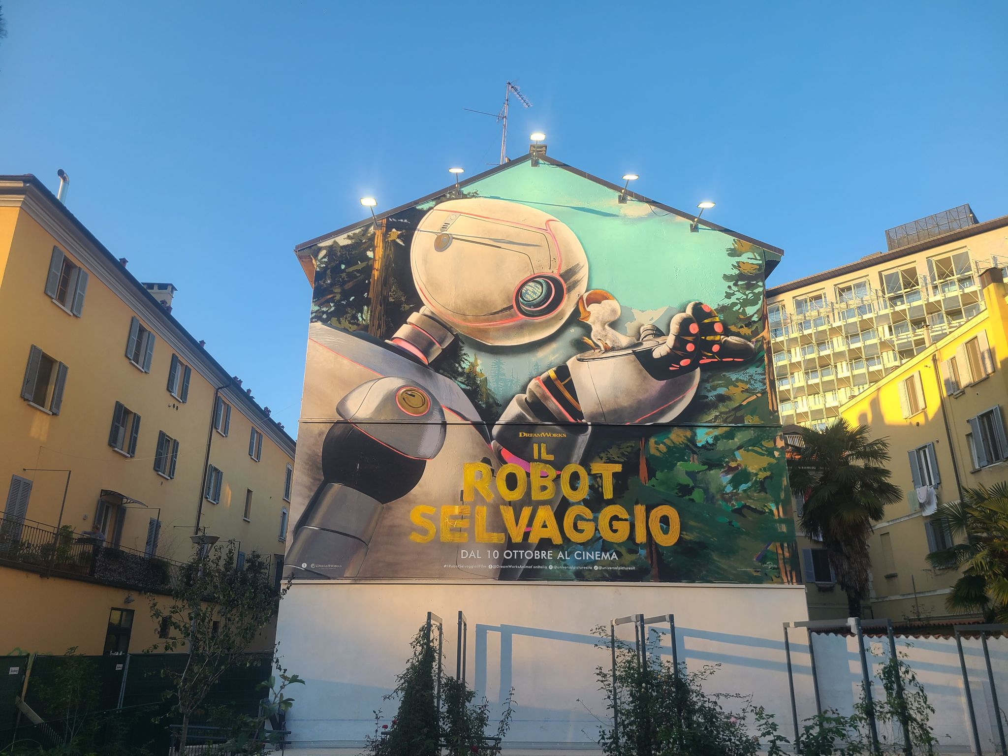 2024 11 02 16.24.31 samsung s20