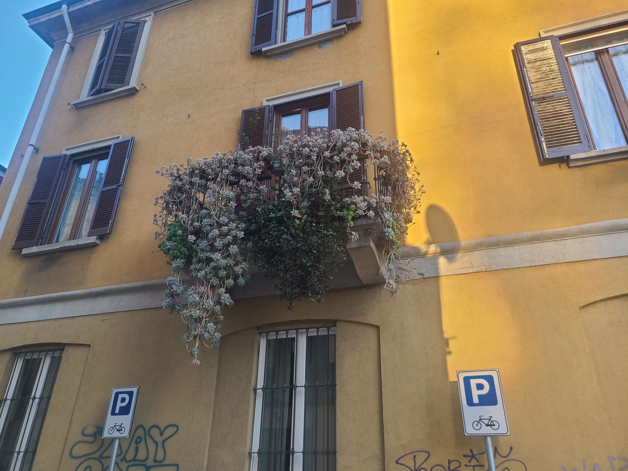 2024 11 02 16.25.13 samsung s20