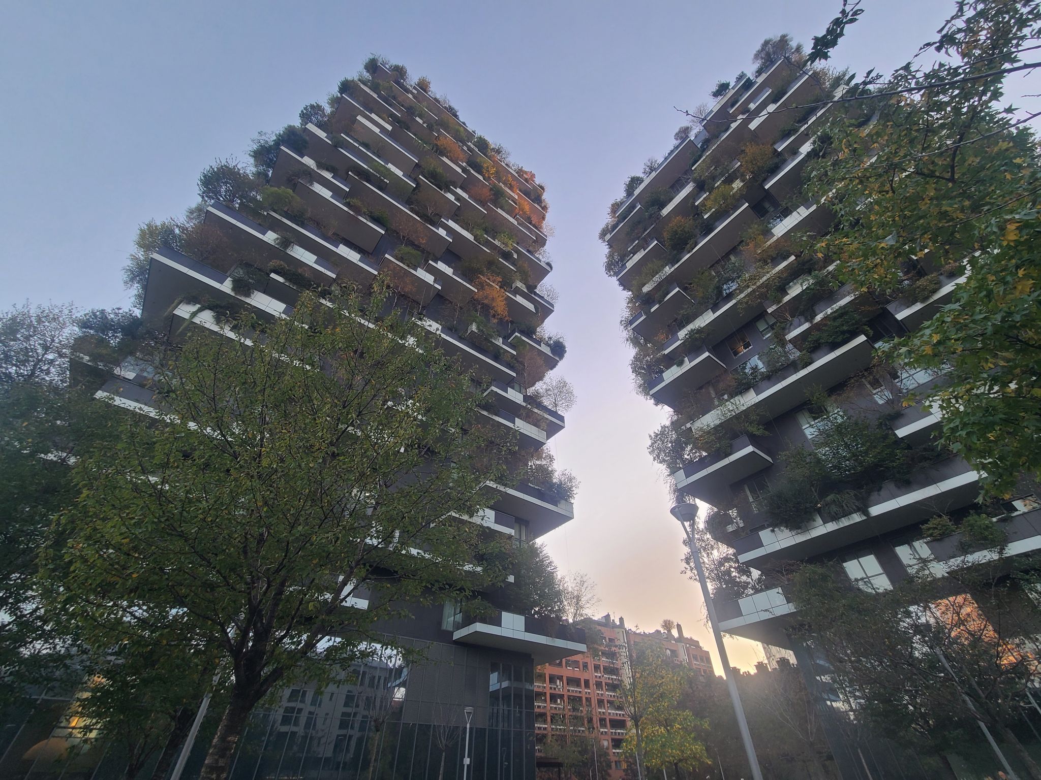 2024 11 02 16.52.38 samsung s20