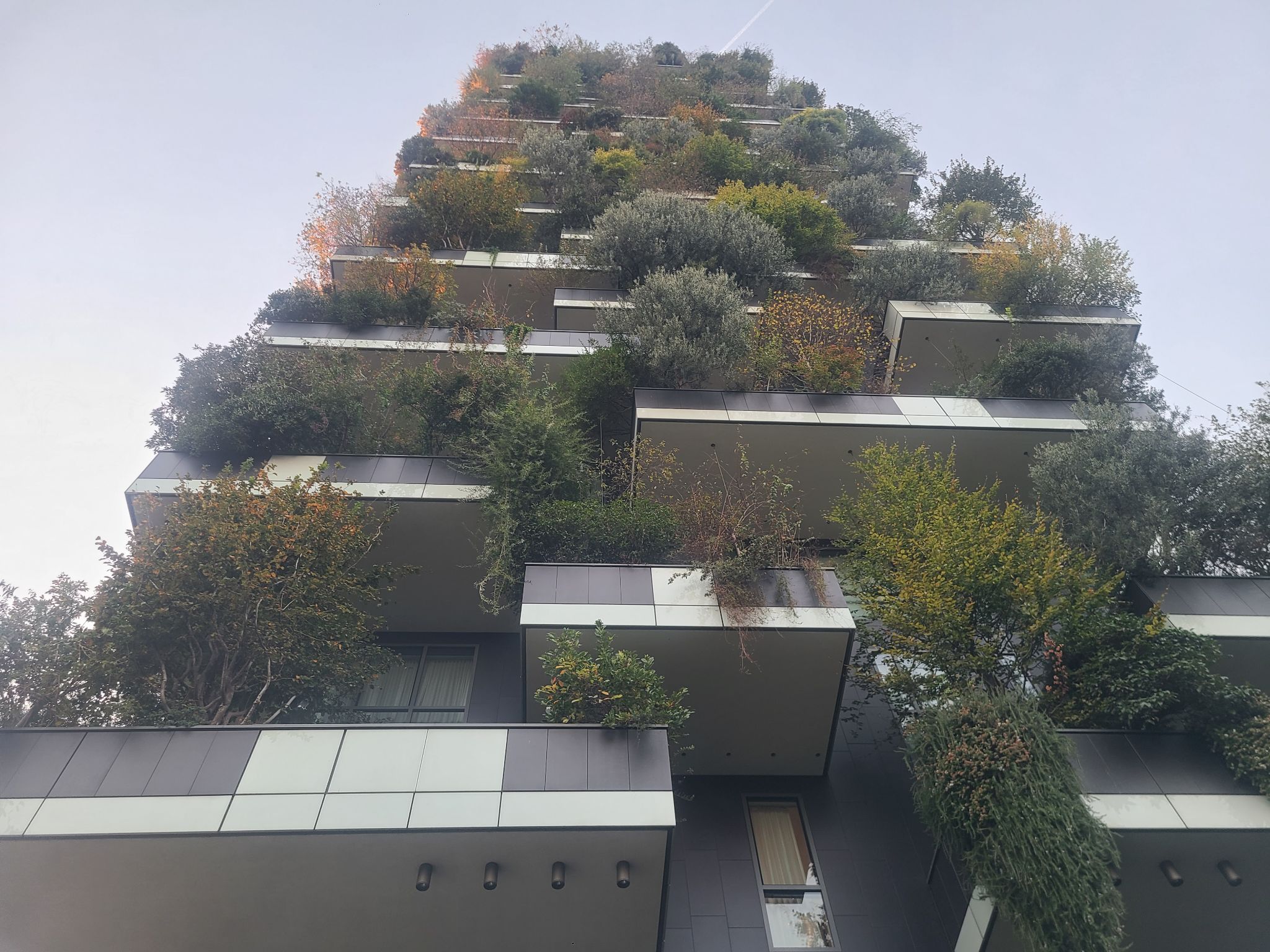 2024 11 02 16.54.02 samsung s20