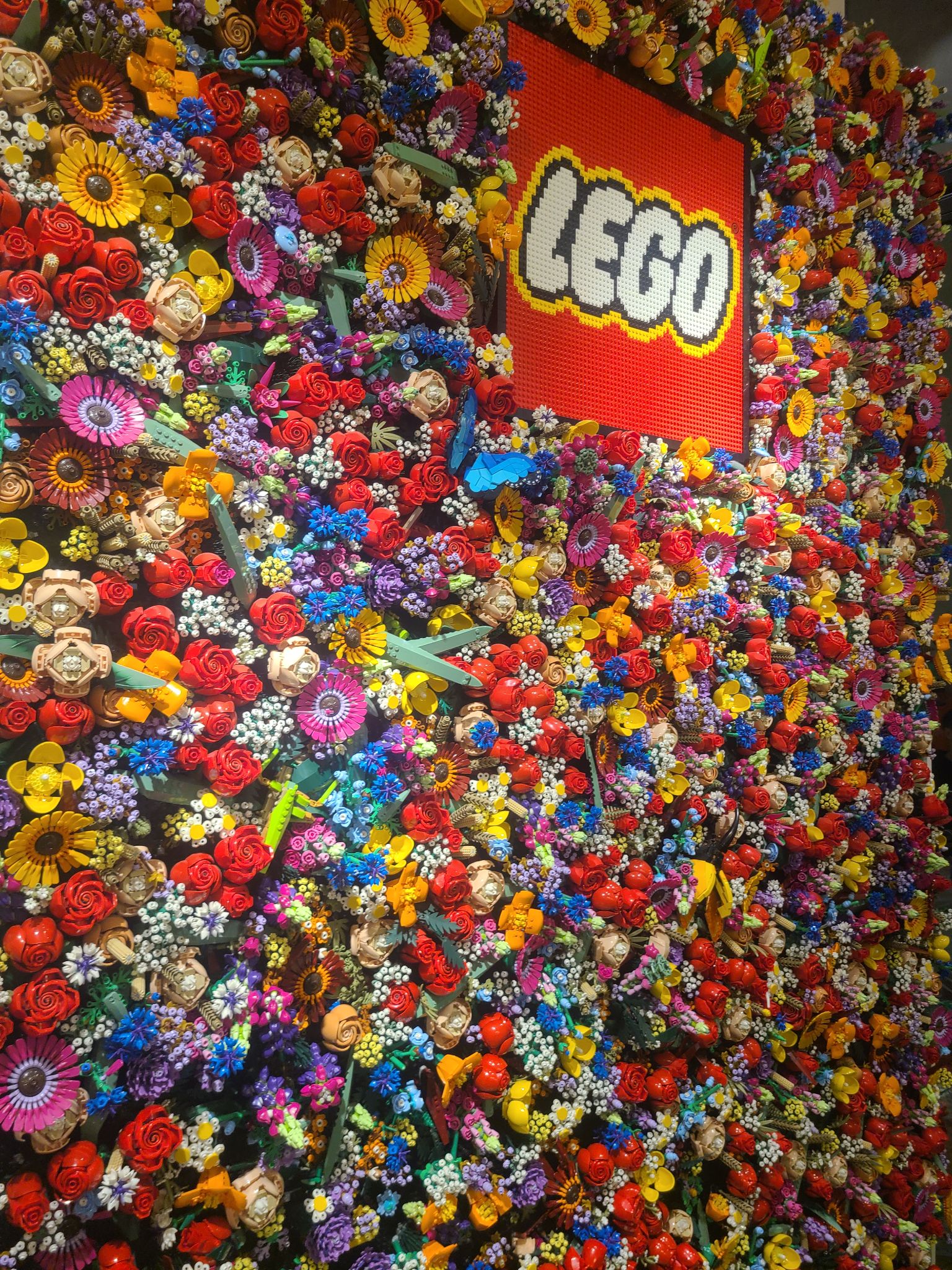 2024 11 02 18.50.17 samsung s20