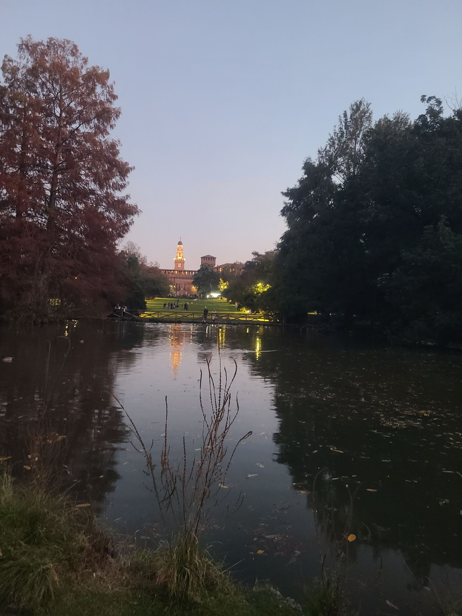 2024 11 03 17.29.49 samsung s20