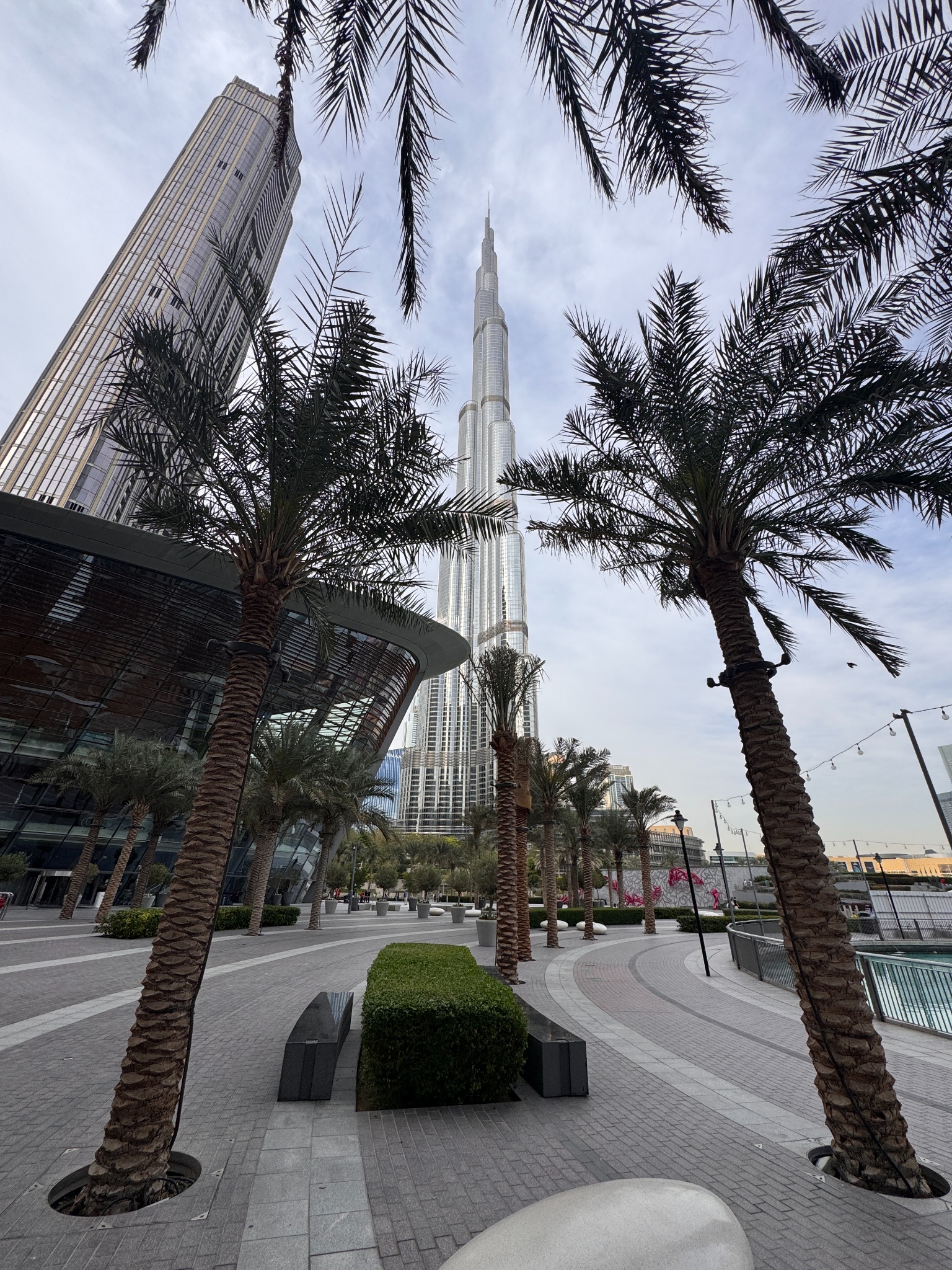 2025 03 11 16.12.52 iphone 15pm