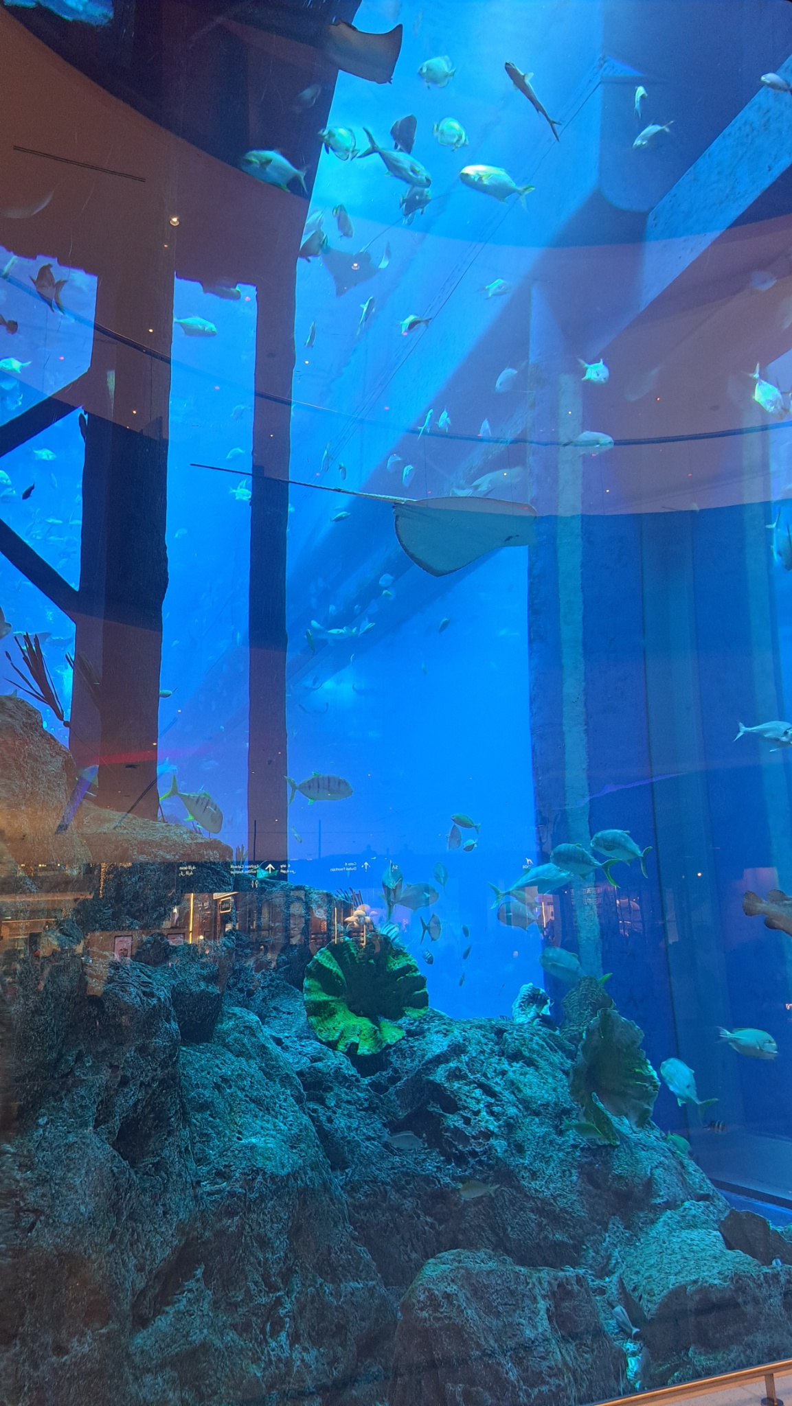 2025 03 11 17.43.06 samsung a53