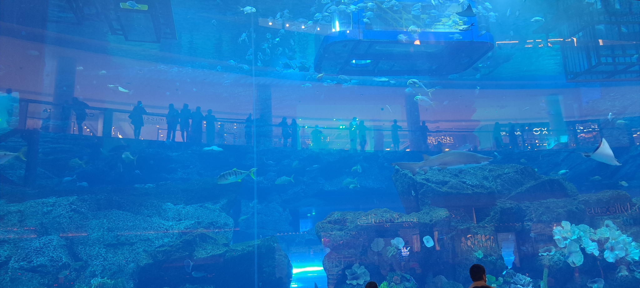 2025 03 11 17.45.15 samsung a53