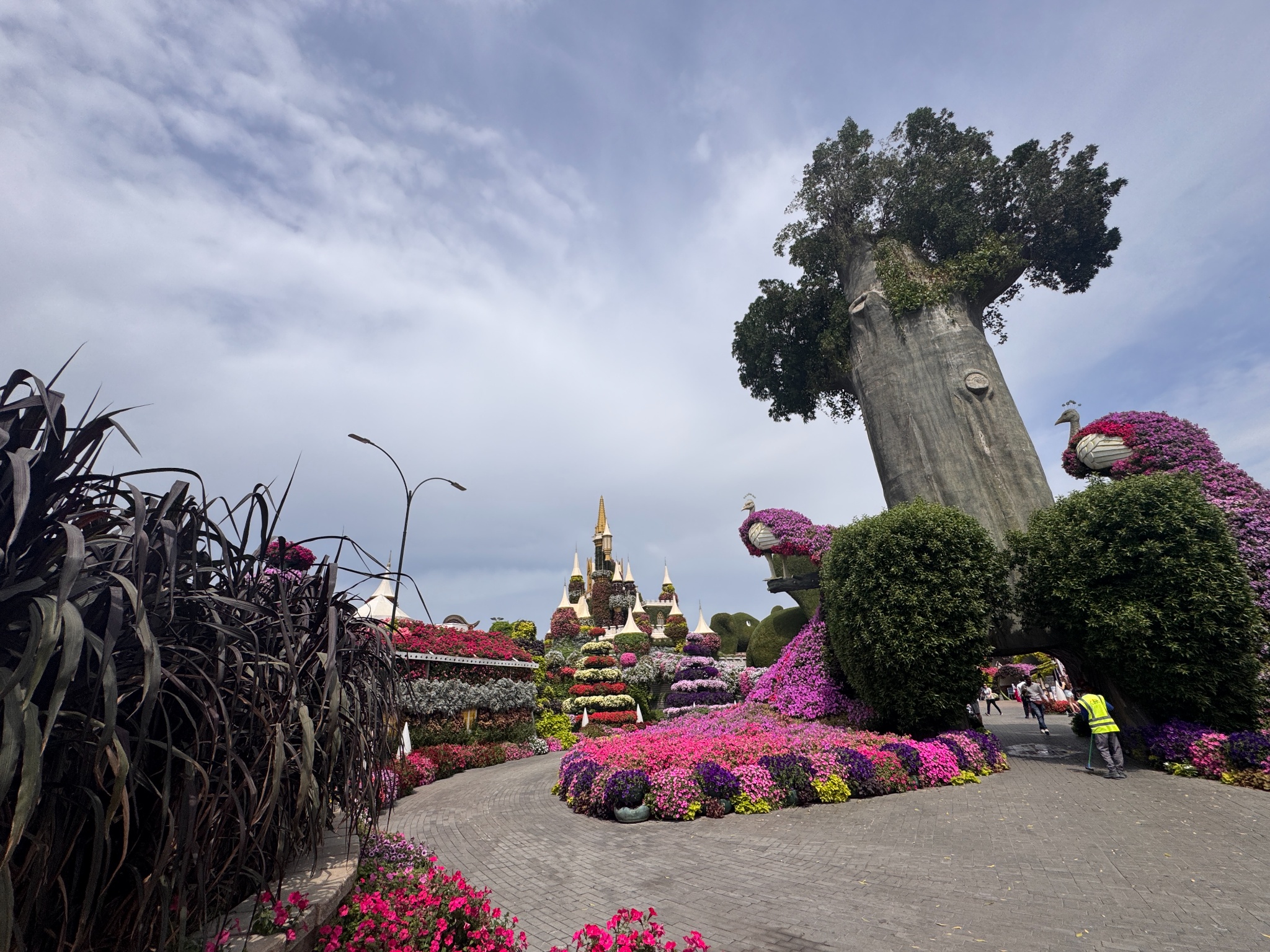 2025 03 12 11.37.16 iphone 15pm