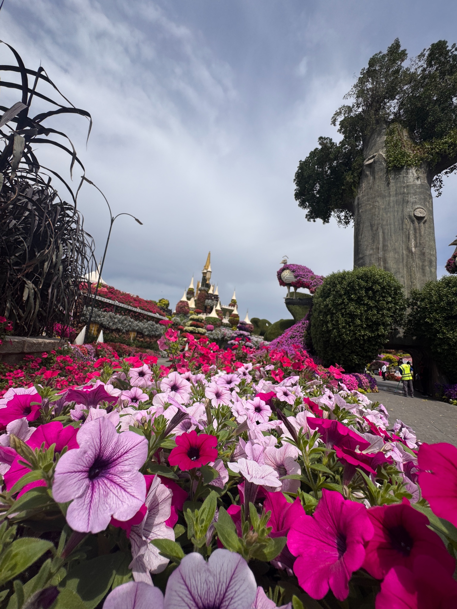 2025 03 12 11.37.20 iphone 15pm