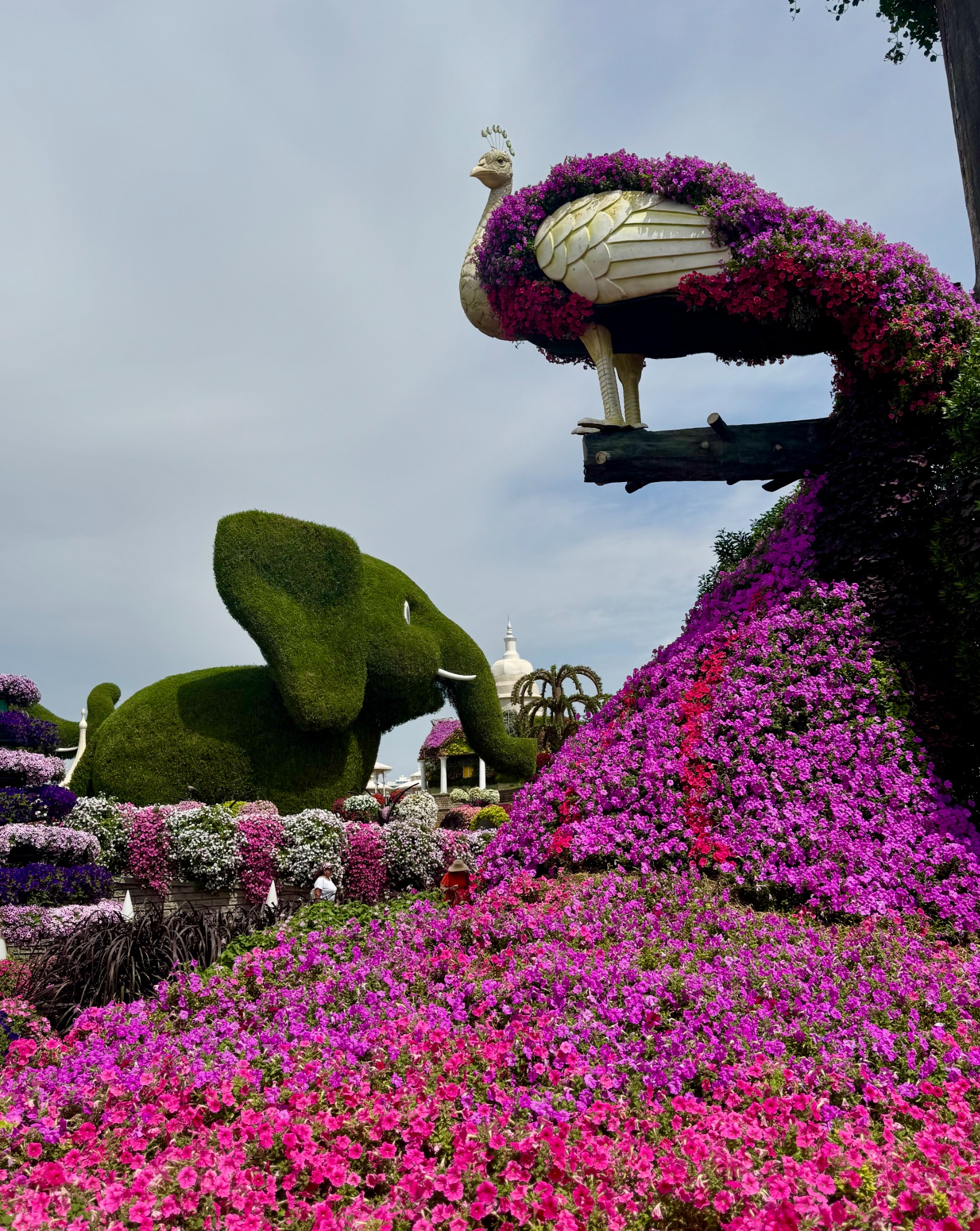 2025 03 12 11.38.05 iphone 15pm