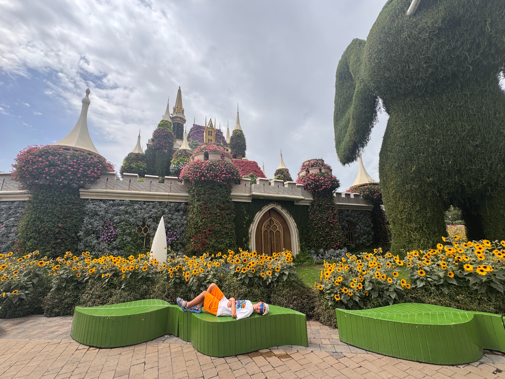 2025 03 12 11.42.02 iphone 15pm