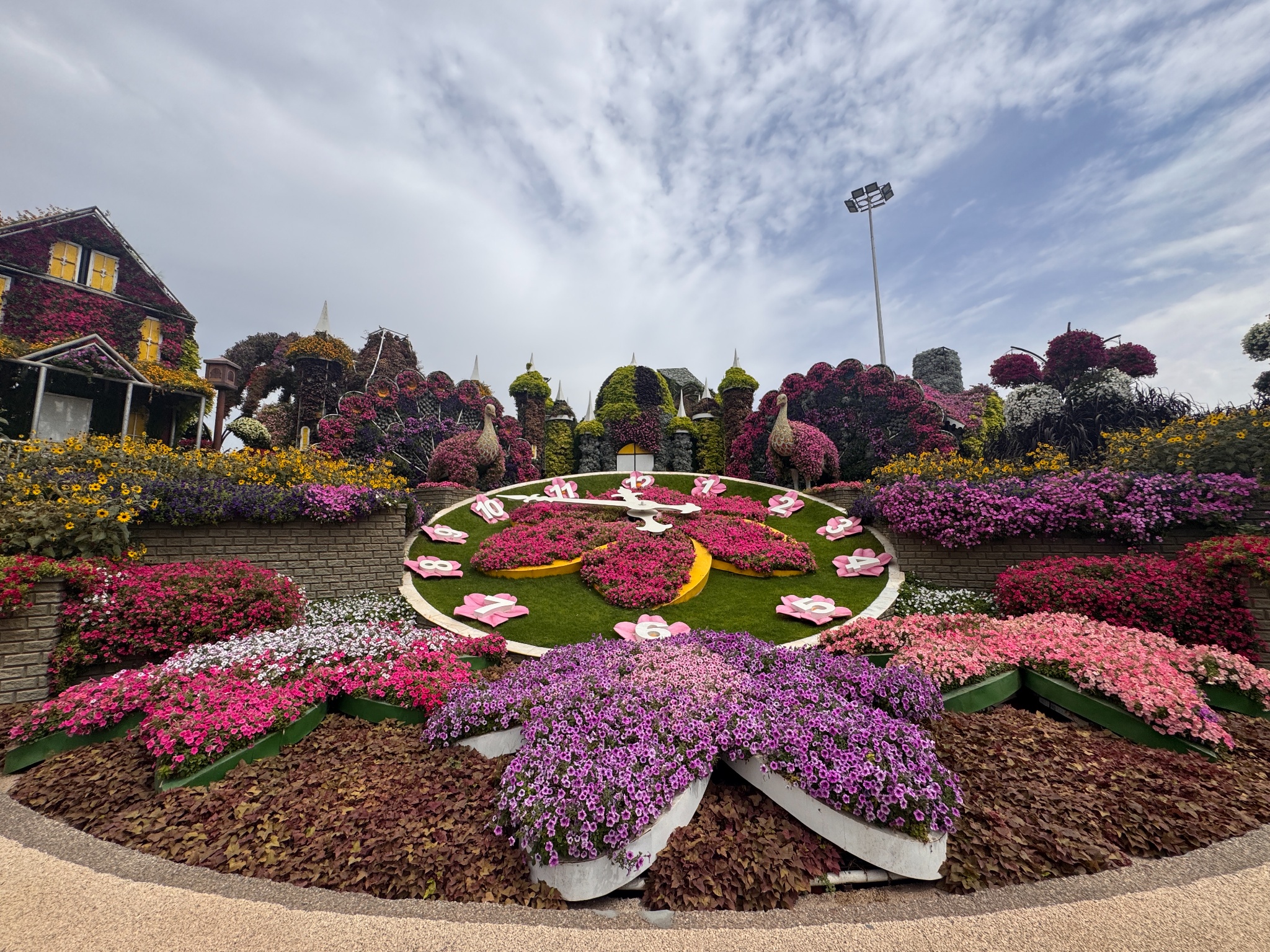 2025 03 12 11.44.08 iphone 15pm