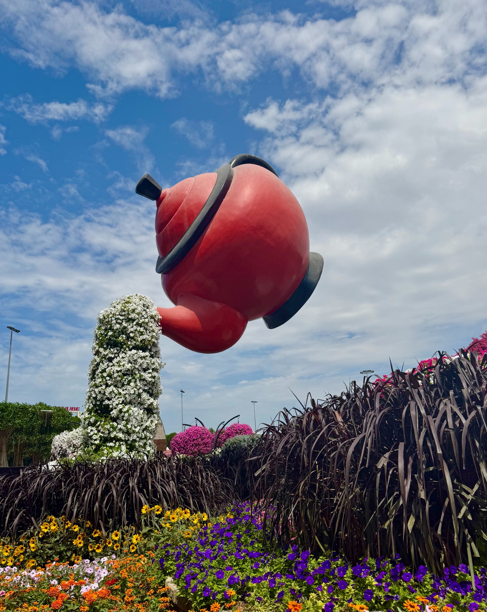 2025 03 12 12.46.20 iphone 15pm