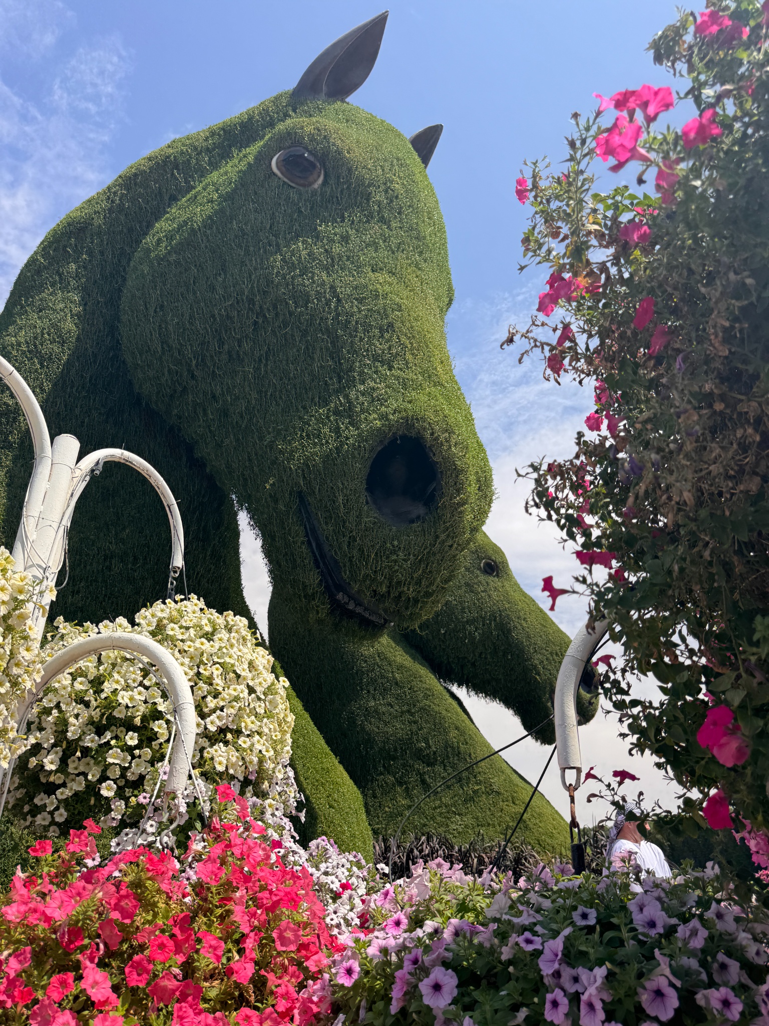 2025 03 12 12.51.08 iphone 15pm