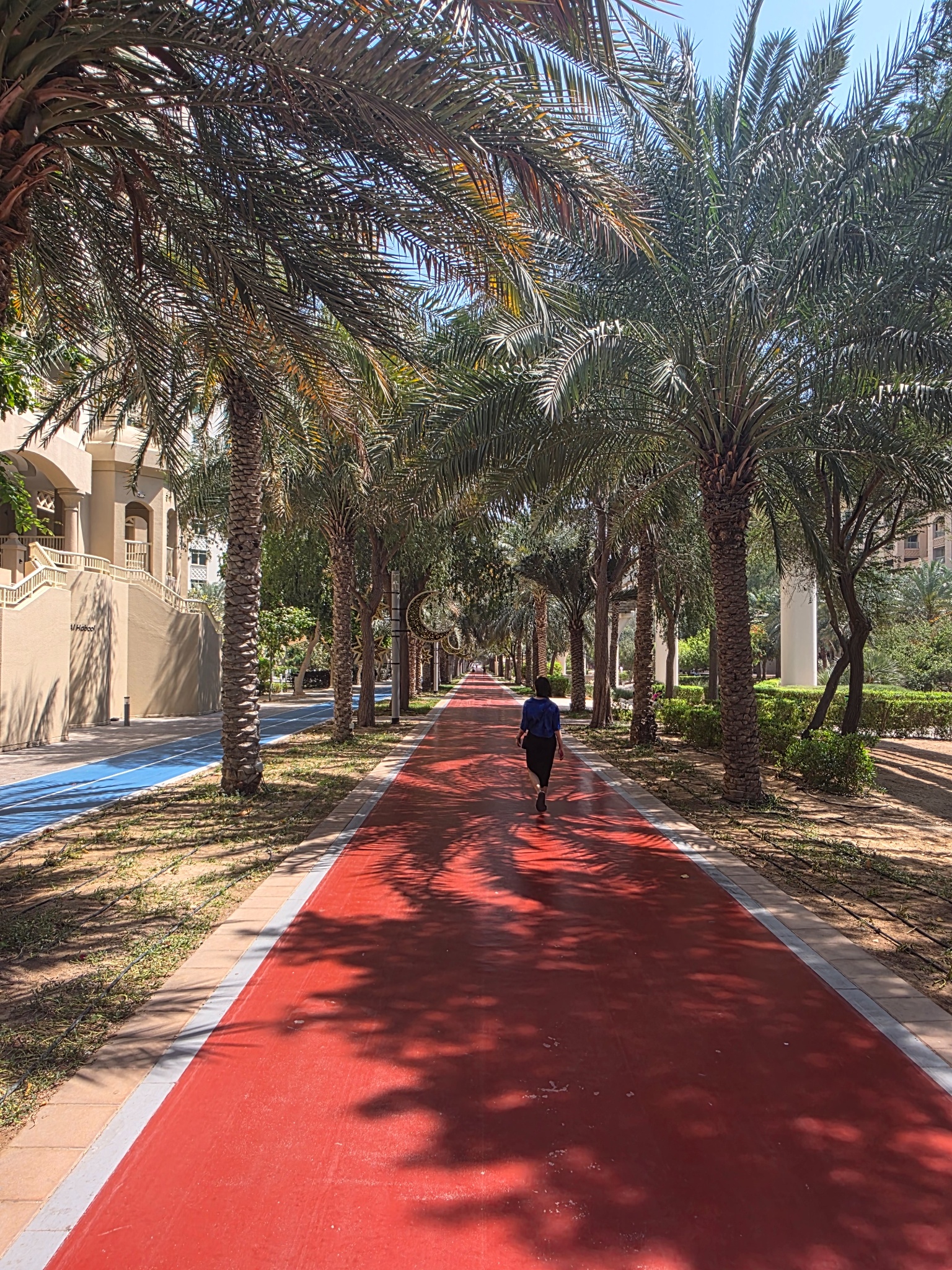 2025 03 13 13.02.03 samsung s25u